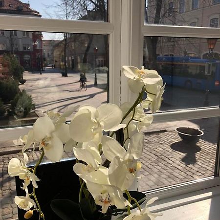 Tiltu 5 Jacuzzi Apartment Klaipeda Ngoại thất bức ảnh